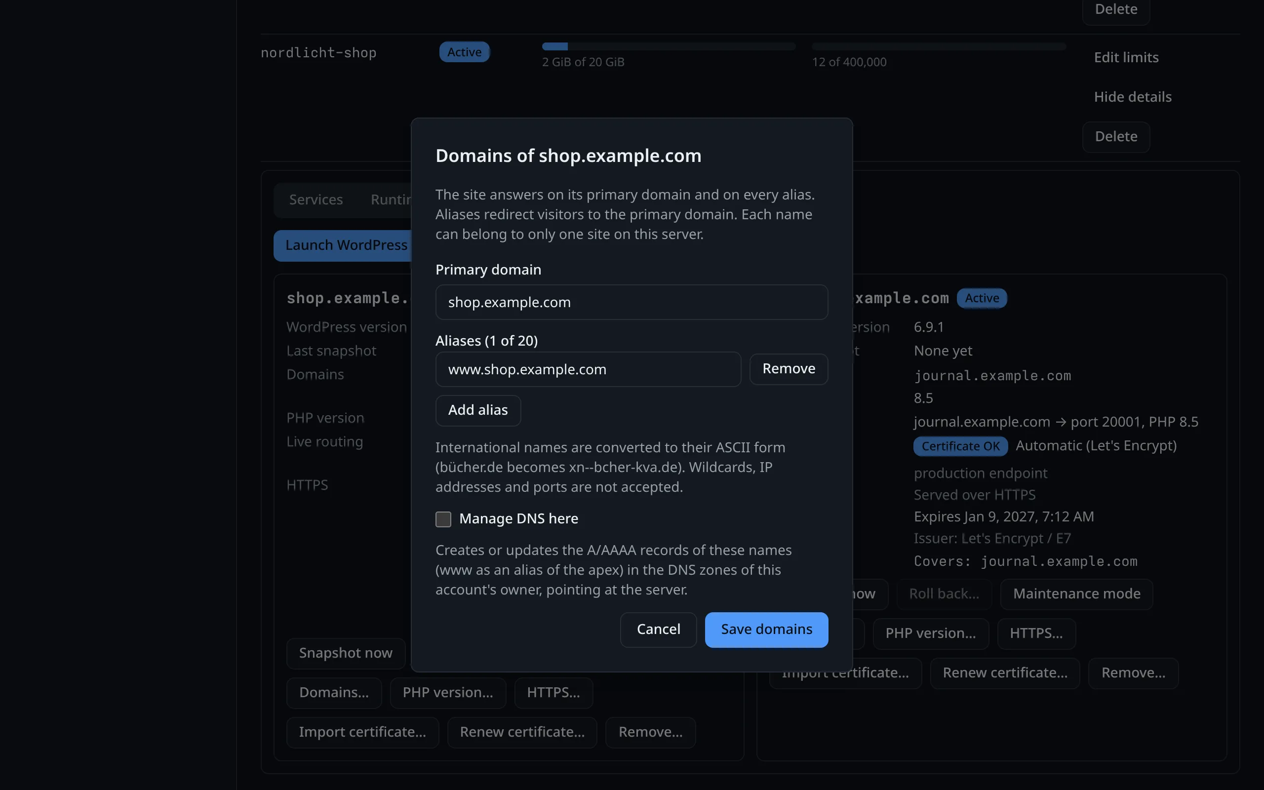 Editing a site's domains: the primary domain and its aliases, routed by the server's ingress.